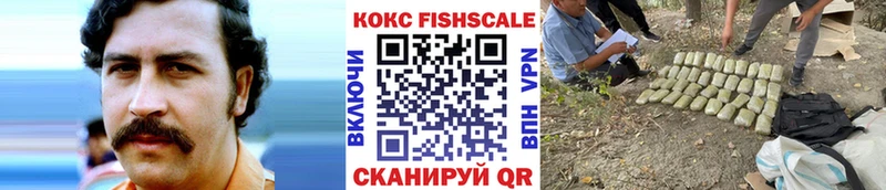 нарко площадка как зайти  Иннополис  COCAIN Fish Scale 