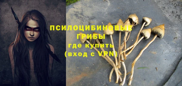прущая мука Лиски
